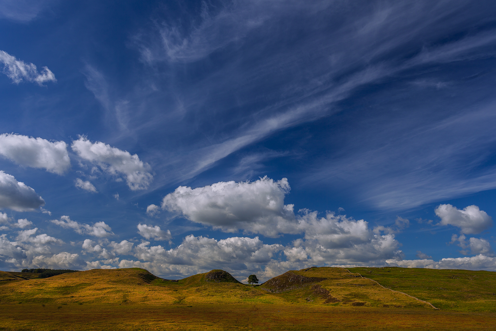 Sycamore Gap