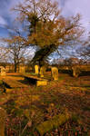 Northumberland Graveyard by newcastlemale