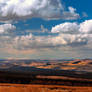 Northumberland Landscape