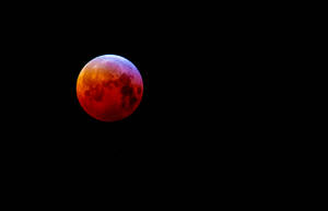 Blood Wolf Moon