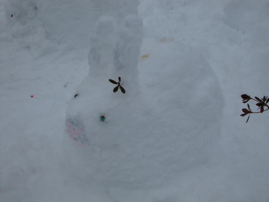 Snow Bunny by yeizhi312 on DeviantArt