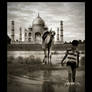 Taj Mahal - 4