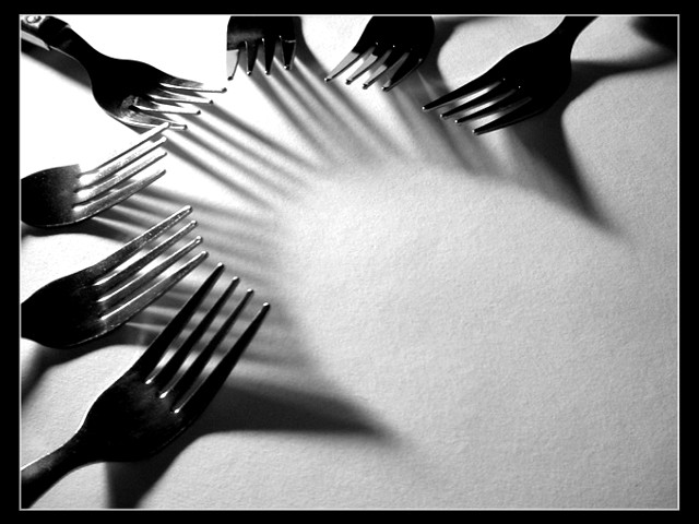 Fork Shadows