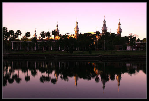 University of Tampa Reflection