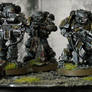 Reviler sternguard