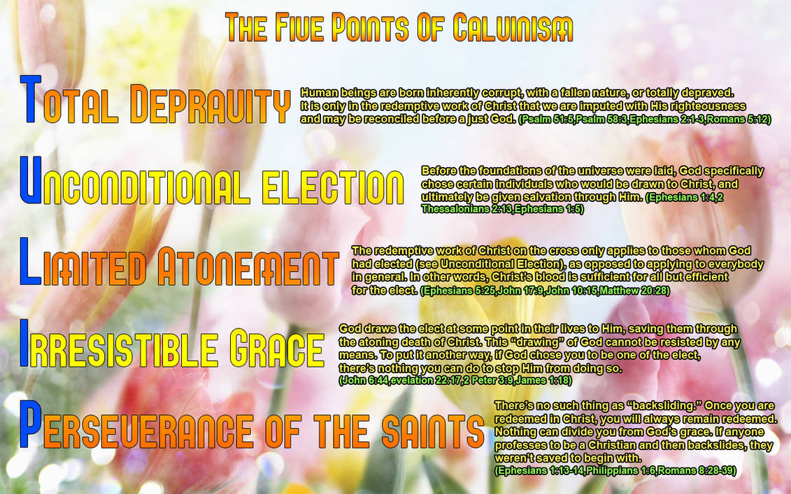 The Five Points of Calvinism (TULIP) by MicroFrog on DeviantArt