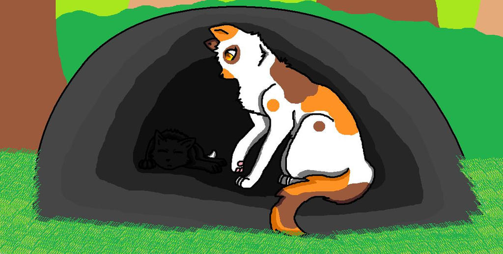 Spottedleaf Paws Spottedleaf and ravenpaw by Unfeelingmetal5 on DeviantArt