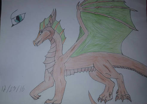 Ladon the bronze dragon 