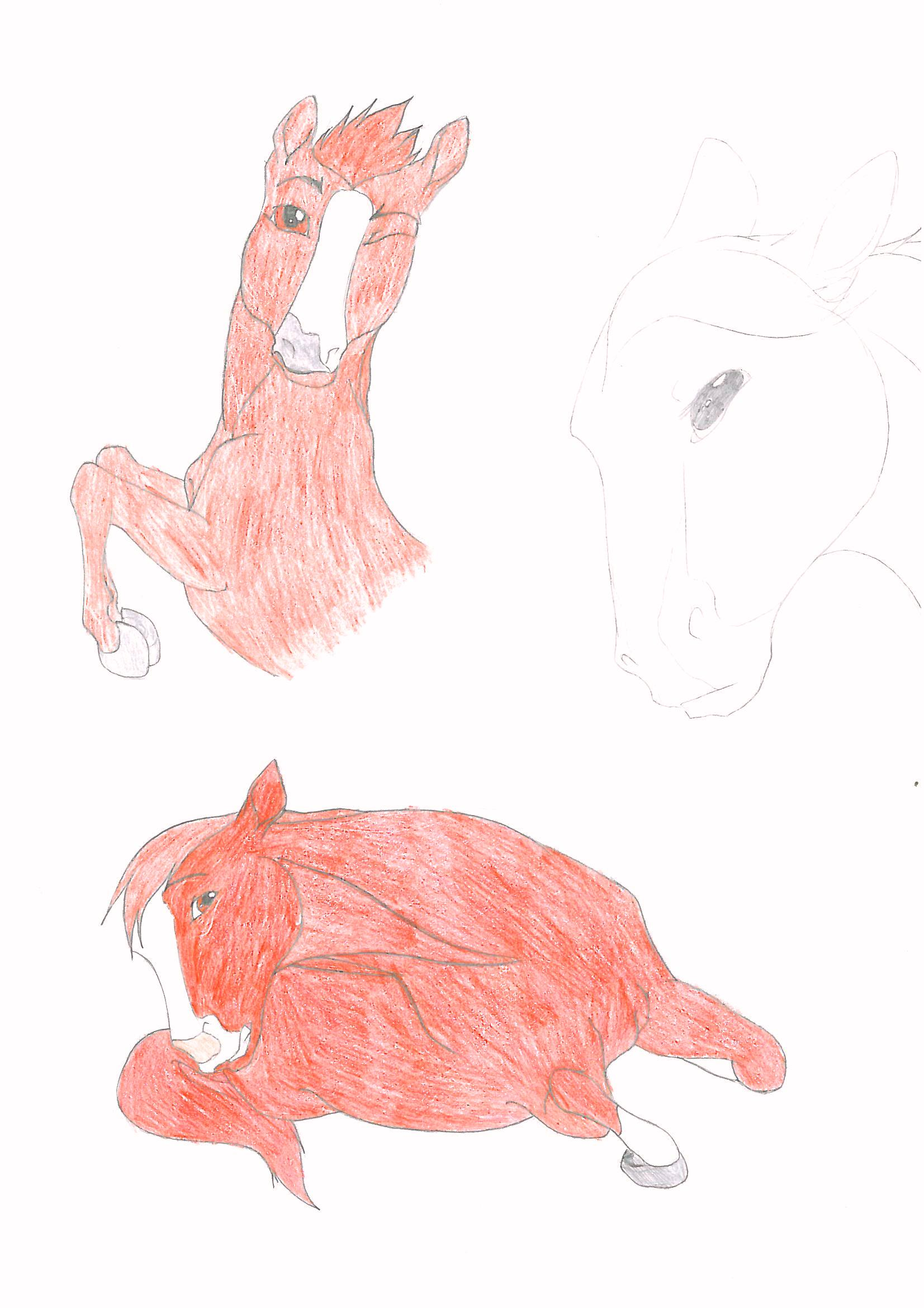 Free Horse Sketches Batch 4