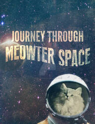 Journey through Meow-ter Space