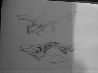 Dino sketches