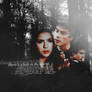 Delena Vampire Diaries