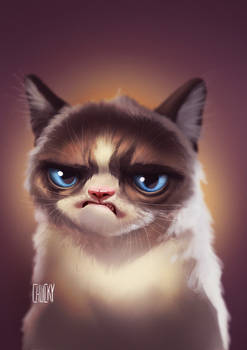 Grumpy Cat