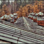 orange autumn. roof