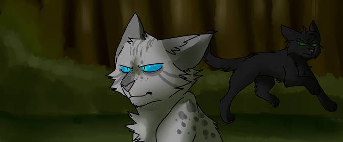 Ashfur and Hollyleaf re-draw