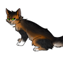 squirrelflight actual squirrel