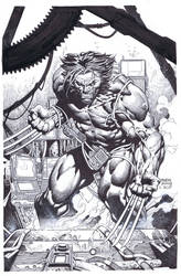 David Finch: Weapon X