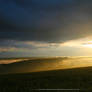 Fields of Colours