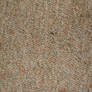 Carpet Texture 7
