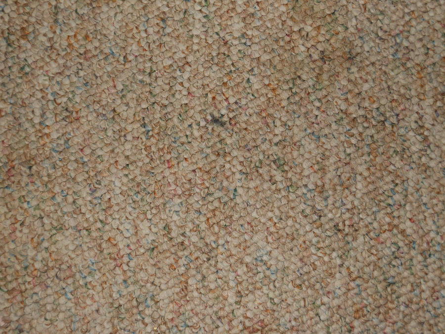Carpet Texture 7