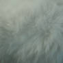 Cat Fur Texture 7