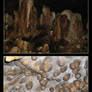 Cave Texture