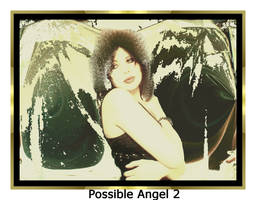 Possible Angel 2