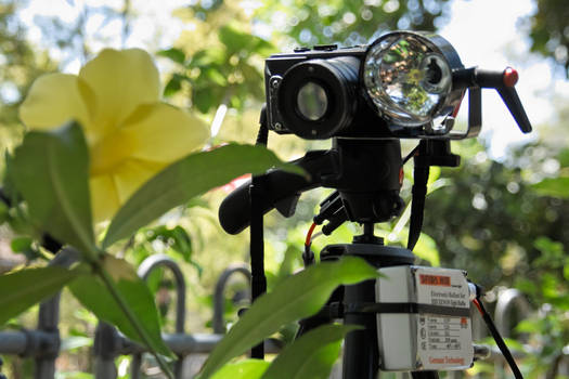 Sigma DP2 setup for UltraViolet Photography.