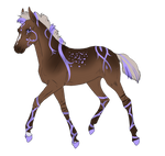 personal padro test import ~ 7174 by Pipsqueak09