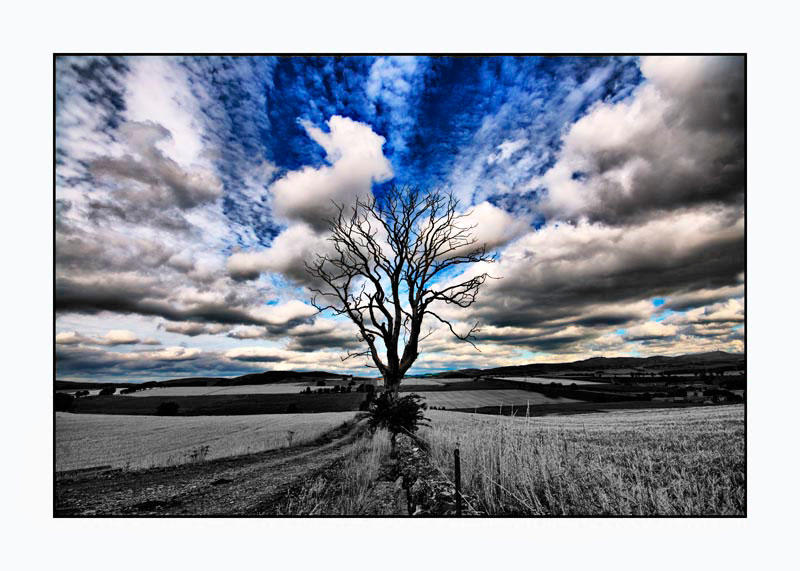 Infinity : Inverted by luncatic on DeviantArt