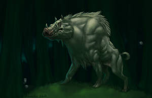 Okkoto by Lutri Okkoto by Lutri