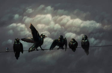 Crows