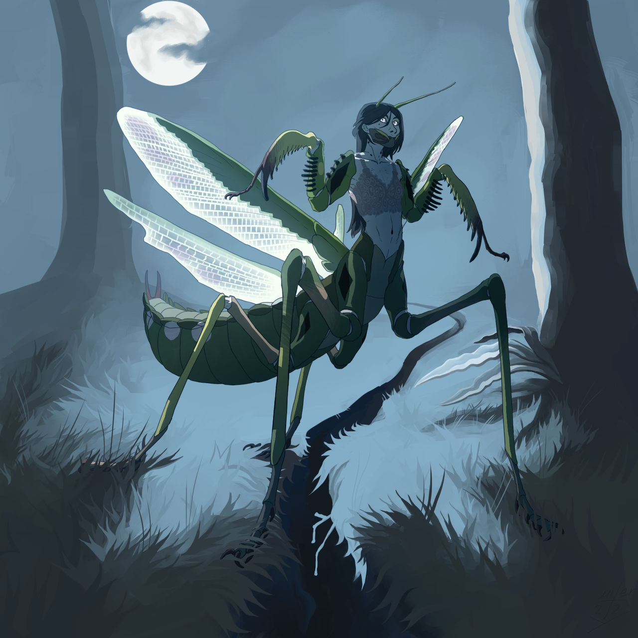 Mants Deviantart Mantis by Mitery22 on DeviantArt
