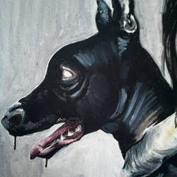 Black Dog