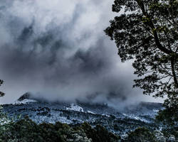 Snow Cloud