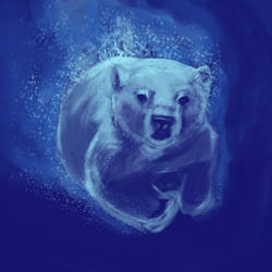 Polar bear