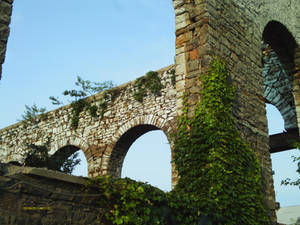 Arches and Ivy I