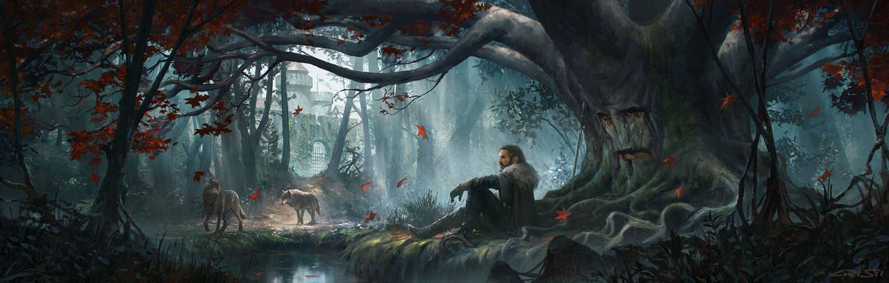 Wolves of the North Cover by Cristi-B