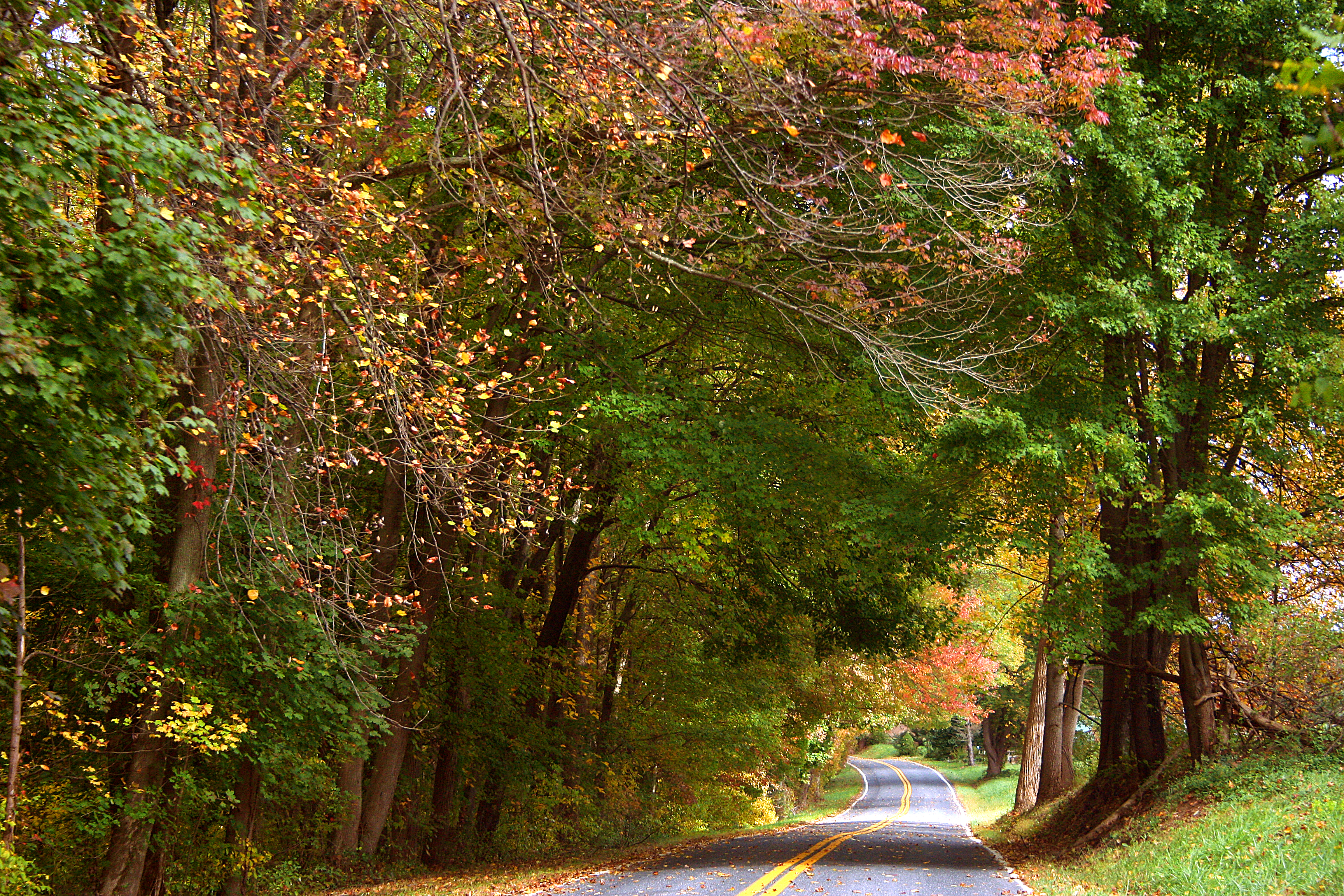 Fall Festivity from the Road