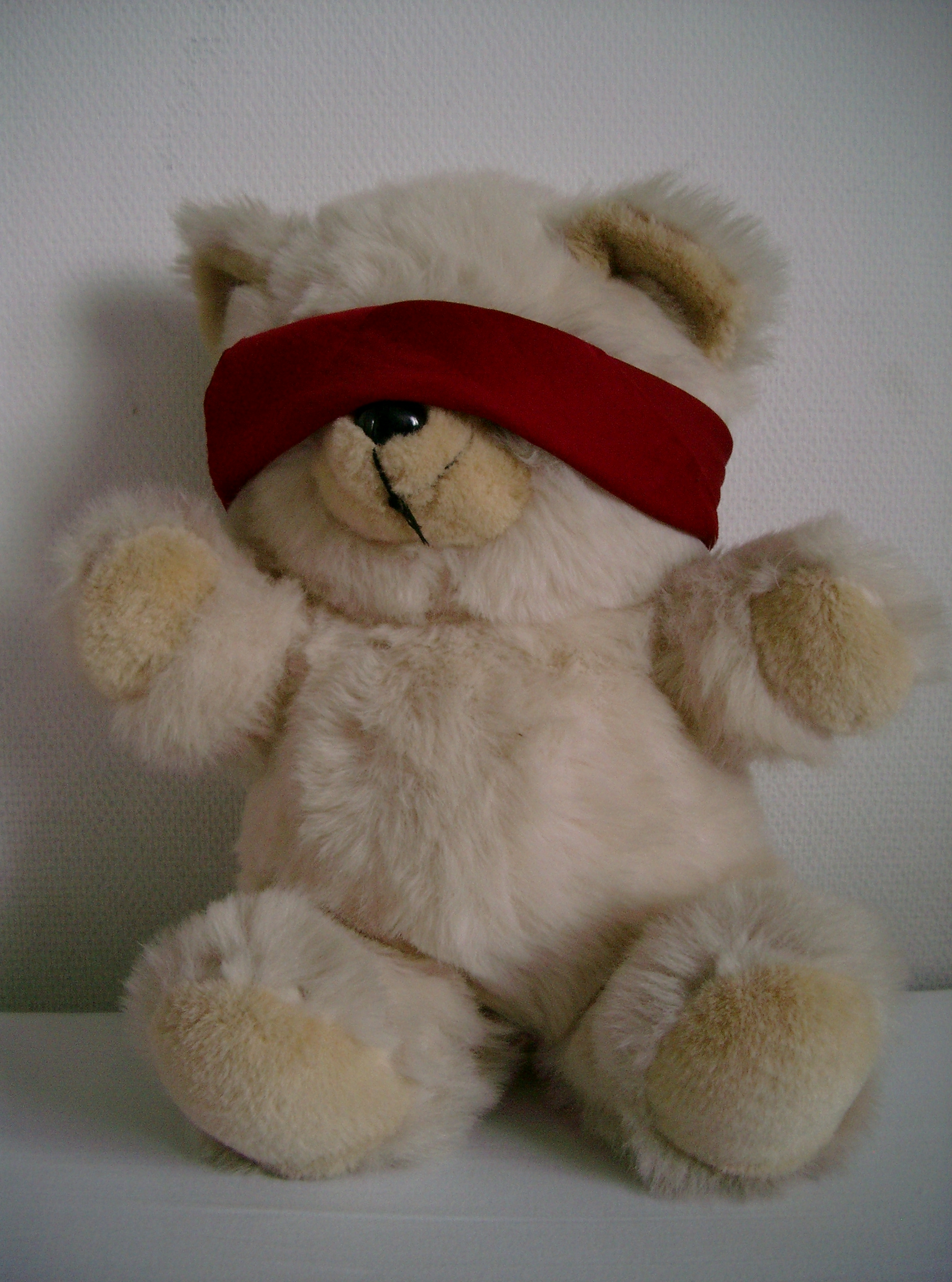 Blindfolded Teddy 2