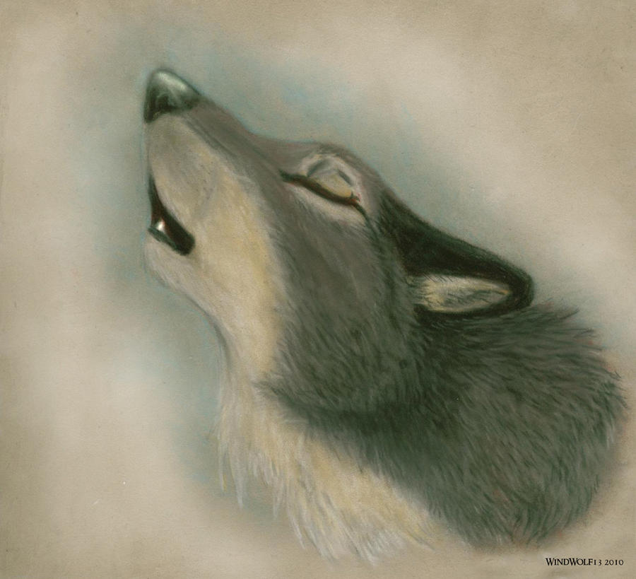 Pastel Wolf
