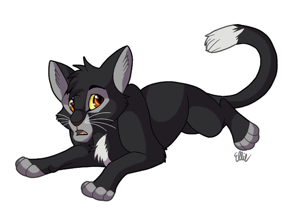 Warriors Cats - Ravenpaw by AnimalLover4Ever on DeviantArt