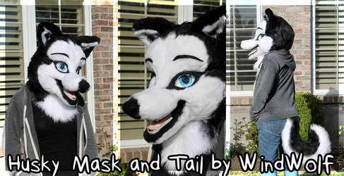 Siberian Husky Mask and Tail SOLD