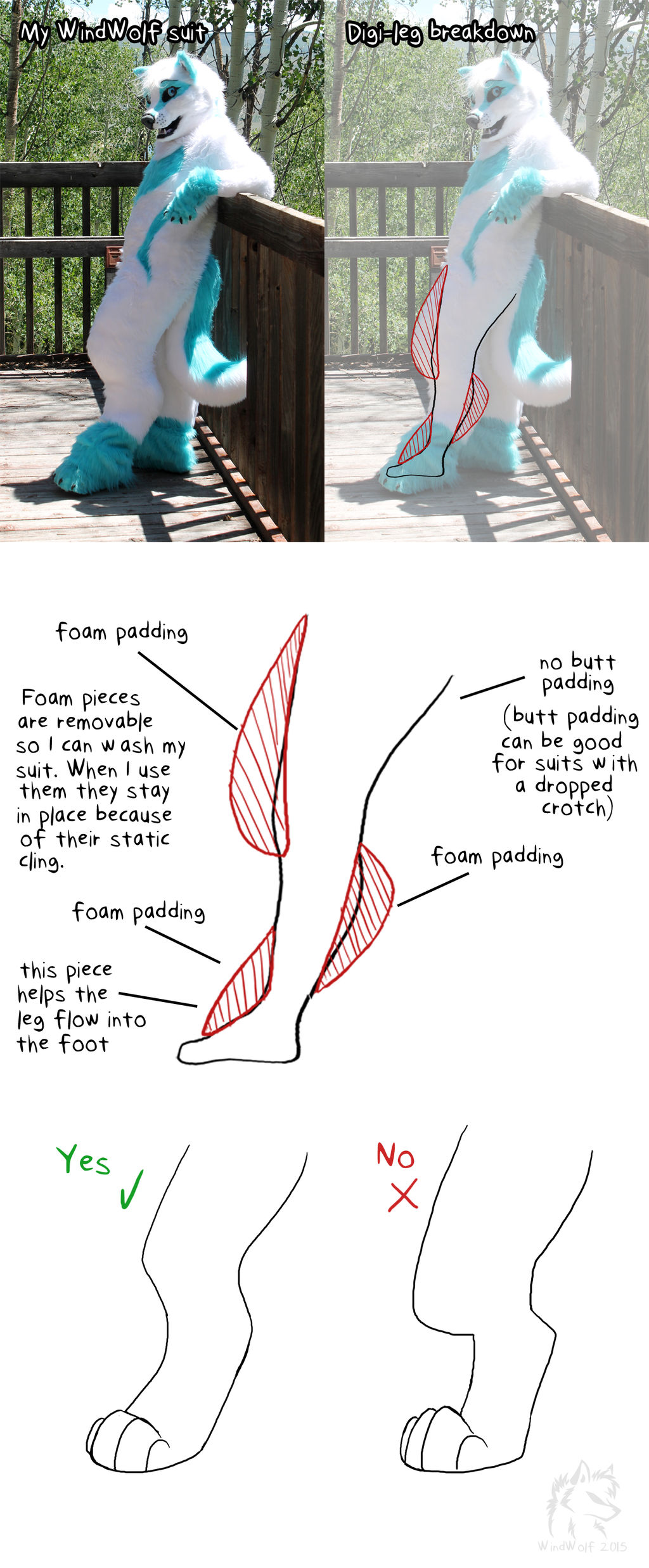 Beastars Digitigrade Digitigrade Legs Help by AspenWynd on DeviantArt