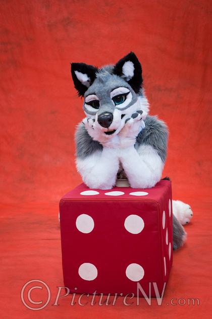 BLFC Photoshoot