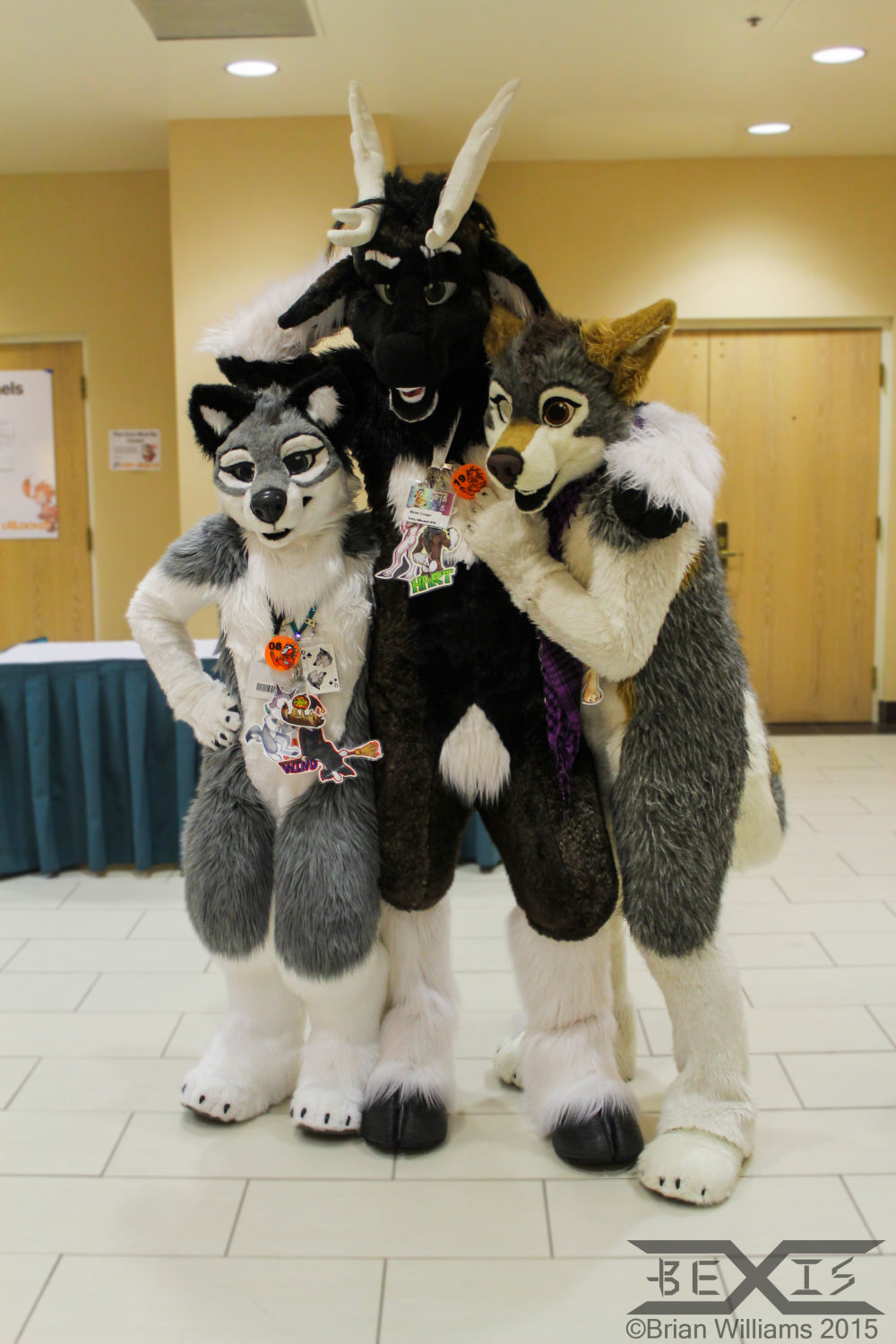 Two Wuffs and a Deer