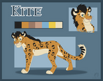 Kite Reference Sheet by AspenWynd