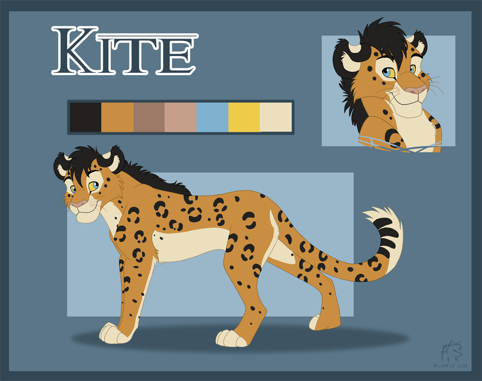Kite Refrence Kite Reference Sheet by AspenWynd on DeviantArt