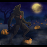 Moonlight in the Pumpkin Patch