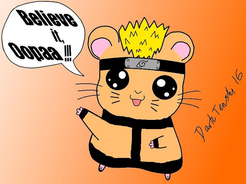 Naruto Hamster By DarkTenshi16 On DeviantArt naruto-hamster-by-darktenshi16-on-deviantart